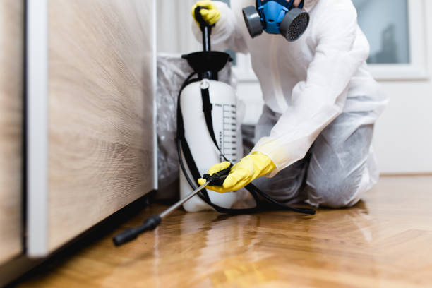 Pest Control Cost in Gainesville, FL