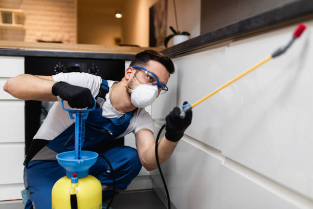 Professional Pest Control in Gainesville, FL