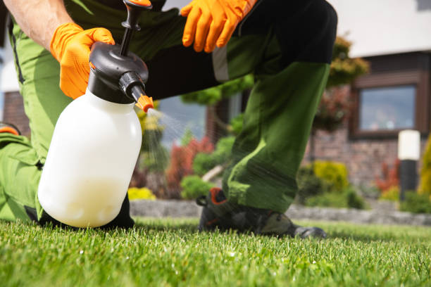 Best Pest Control Near Me  in Gainesville, FL