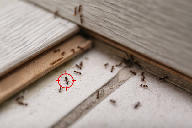 Best Commercial Pest Control Services  in Gainesville, FL