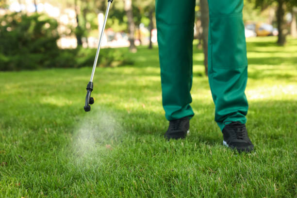 Best Wasp Removal Services  in Gainesville, FL