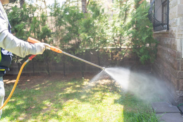 Best Rat Extermination Near Me  in Gainesville, FL
