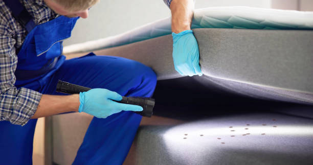 Best Wildlife Control Services  in Gainesville, FL
