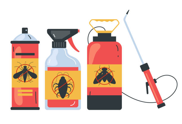 Best Termite Control Services  in Gainesville, FL
