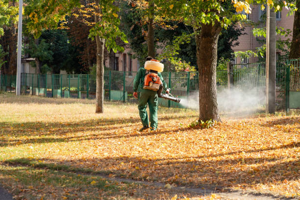 Best Affordable Pest Control Services  in Gainesville, FL